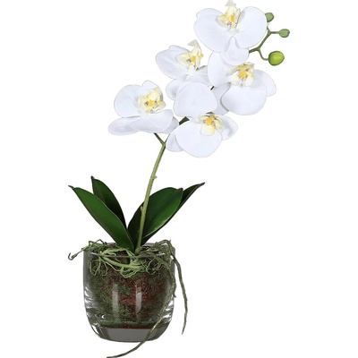 Umelá rastlina Orchidea, 42 cm, biela, 60522-05