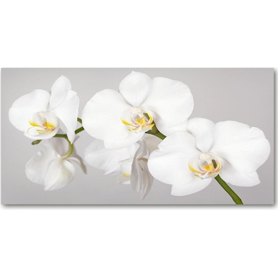 Foto obraz sklo tvrzené orchidea 100x50 cm