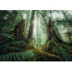 Ravensburger - Puzzle In the forest - 1 000 piese