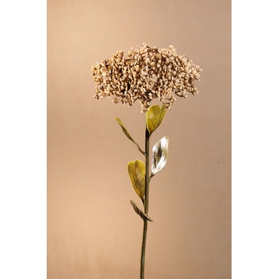 Paramit DRY FULL BLOOM SEDUM Aranžovací květina krémová 46 cm