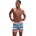 Speedo Плувни шорти mens placement leisure 16'' watersh