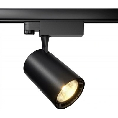 MAYTONI TR029-3-20W3K-B