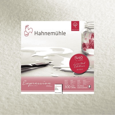 Hahnemühle EXPRESSION 100 % bavlna 300 GR/M2 LISOVANÝ ZA STUDENA 25 LISTOV 30x30 CM