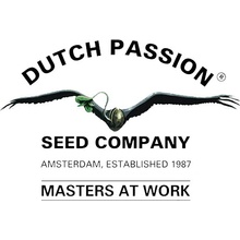 Dutch Passion Frisian Duck semena neobsahují THC 1 ks