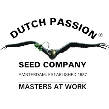Dutch Passion Auto White Widow semena neobsahují THC 1 ks