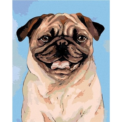 Zuty Malování podle čísel Hnědý mopsík 80 x 100 cm bez rámu a bez vypnutí plátna