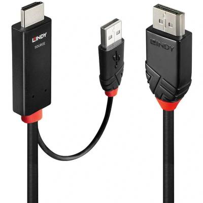 Lindy 41498 адаптер за видео кабел 1 м HDMI + USB Type-A DisplayPort Черен (41498)