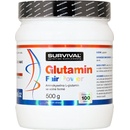 Survival Glutamin fair power 500 g