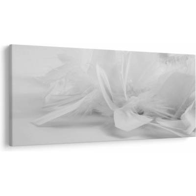 Obraz - Perie, jednodielne 250x125 cm