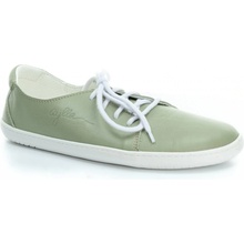 Aylla Inca L Olive
