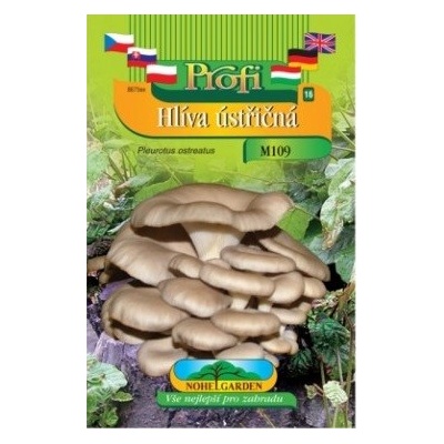 Nohel Garden Hlíva ústřičná Pleurotus ostreatus hnědá forma