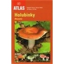 Holubinky