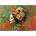 Educa - Puzzle Lizard Queen - 1 000 piese