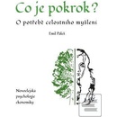 Co je pokrok