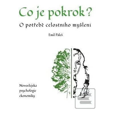 Co je pokrok