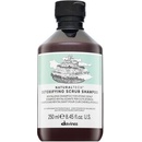 Šampony Davines NATURALTECH Detoxifying šampon pro hloubkové čištění atonické pokožky 250 ml