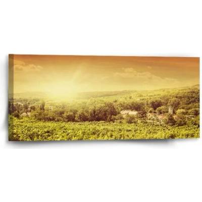 Sablio Obraz Vinice - 110x50 cm