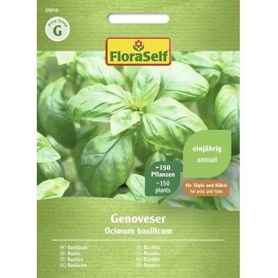 Bazalka Genovese FloraSelf