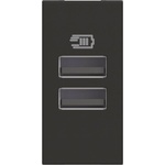 BTicino RG4191AA USB зарядно тип A и A 15W 3A 100-240V 50-60Hz, 1M Черен Classia - RG4191AA (RG4191AA)