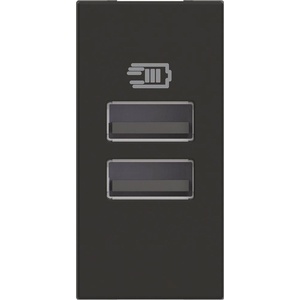 BTicino RG4191AA USB зарядно тип A и A 15W 3A 100-240V 50-60Hz, 1M Черен Classia - RG4191AA (RG4191AA)