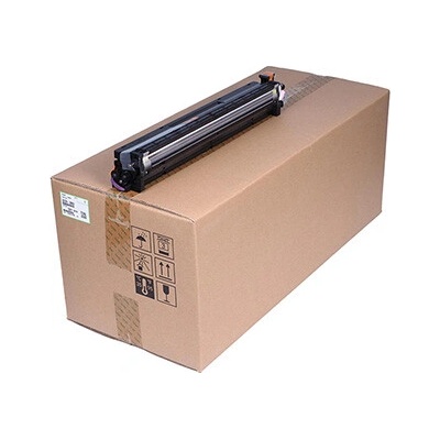 Ricoh D2393062 - originální