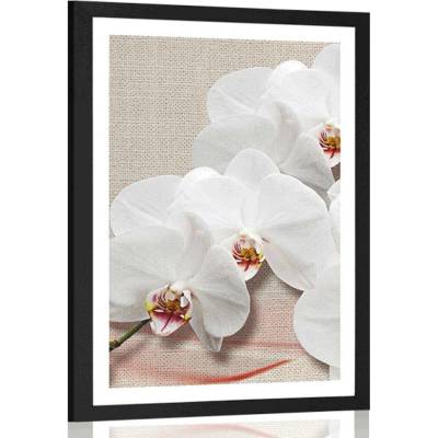 Plakát s paspartou bílá orchidej na plátně - 30x45 black