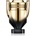 Paco Rabanne Invictus Elixir Parfum Elixir 50 ml