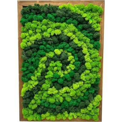 Machový obraz Spiral 50x35cm
