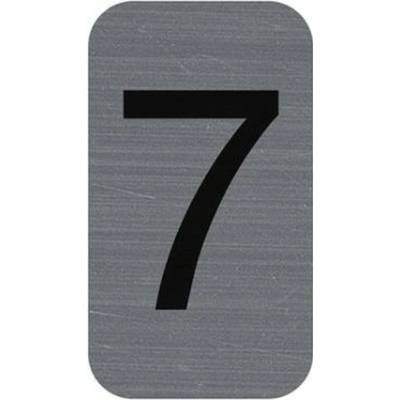 Informačná tabuľka, samolepiaca, 2,5x4,4 cm, hliníkový vzhľad, EXACOMPTA, č. 7
