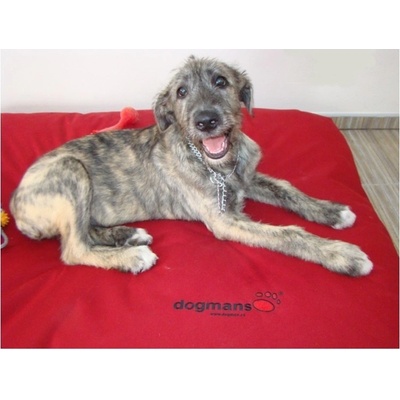 Dogmans Soft Runway