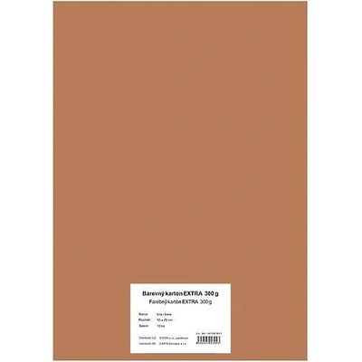 STEPA Barevný karton EXTRA 300g 50x70cm - světle hnědý 10listů