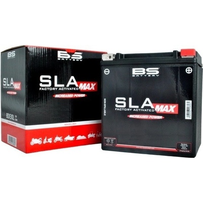 BS-BATTERY SLA MAX 51913 (FA)