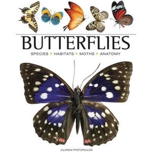 Butterflies | Julianna Photopoulos (2023)