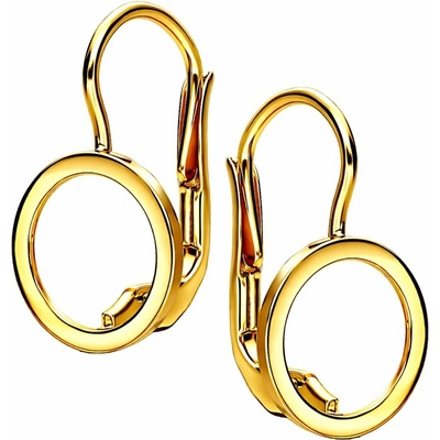 Zlaton Náušnice žluté zlato kruhové visací 1.5cm 1.4g N13112501670