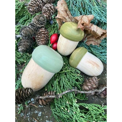 Dijk Natural Collection Žaludy dřevěné sada zelená
