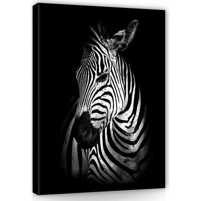Postershop Obraz na plátně: Zebra (2) - 100x75 cm