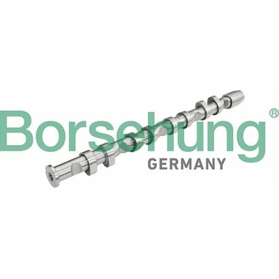 Vačkový hriadeľ Borsehung B13032