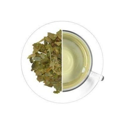 Oxalis Ginkgo list 50 g