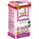 Agrokarpaty čaj na prostatu vrbovkový 20 x 2 g