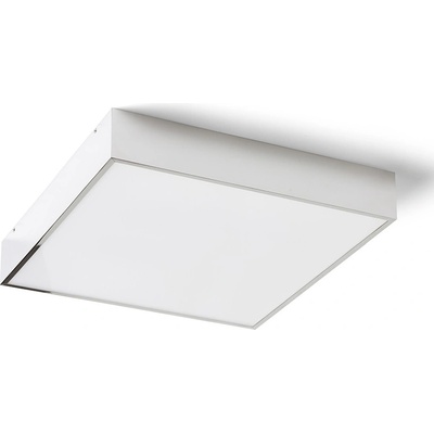 RENDL R13698