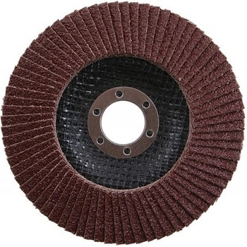 Festa Kotouč lamelový 125 mm P100