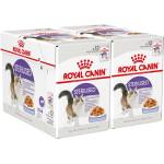 Royal Canin Sterilised Jelly консерви за кастрирани котки в желе 24 x 85 г