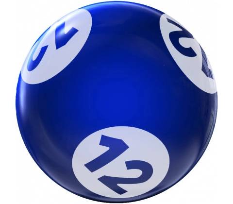Bingo vrtané 12