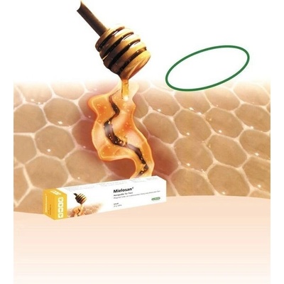 MIELOSAN Hojivá medová mast na zranění 20g