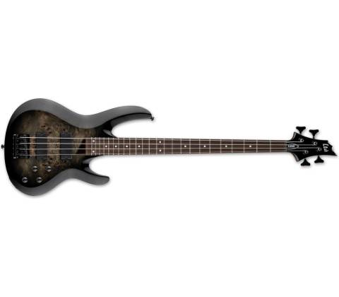 ESP LTD B-204DX