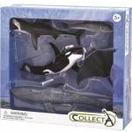 CollectA Set of sea animals 5 pcs
