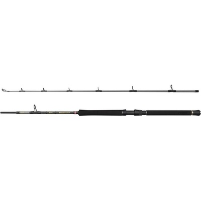 Penn Regiment IV Boat 2,1m 30-50lb 2 díly