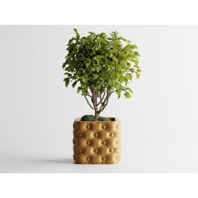 Кашпа Chesterra Малка, 110x110xH95мм- Златна