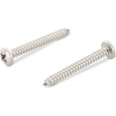 INOX DIN 7981 C šroub do plechu s půlkulatou hlavou, křížová drážka PH(Phillips), nerez A4 Varianta: DIN 7981 C šroub do plechu půlkulatá hlava, křížová drážka PH, nerez A4 4,2X70 – Zboží Mobilmania