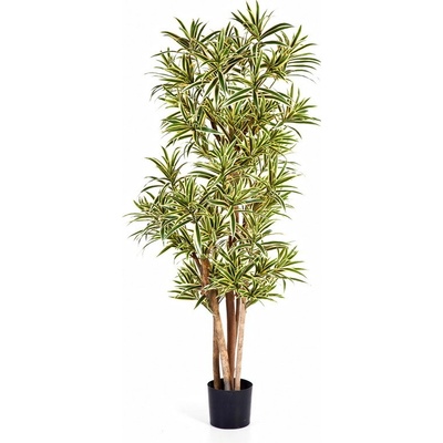 Luxusní umělá palma DRACAENA REFLEXA s bílým okrajem, 150 cm